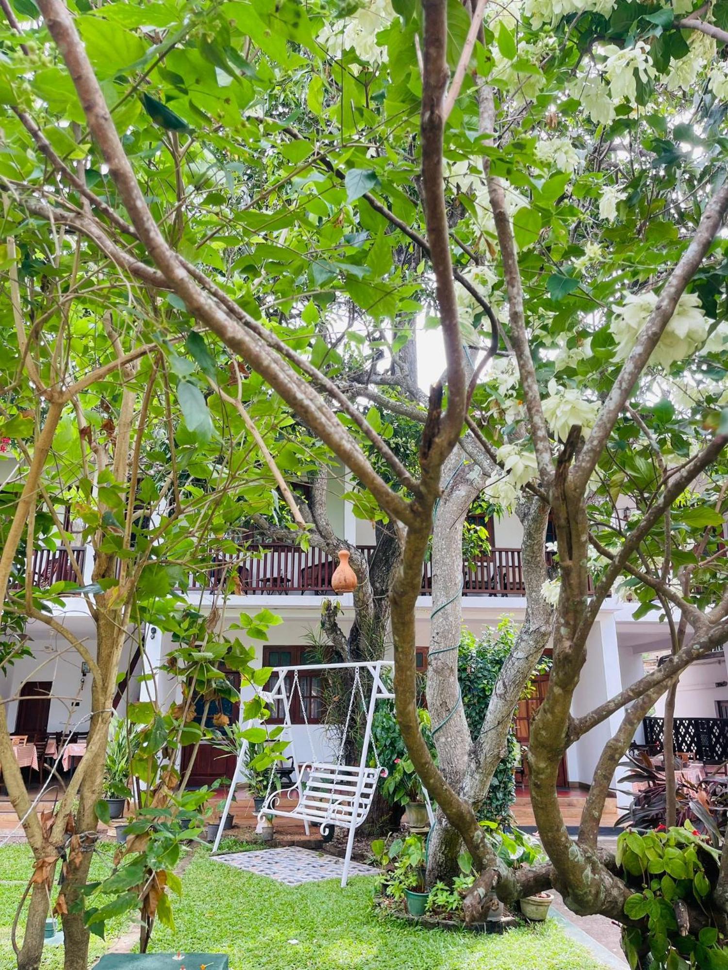 Little Paradise Tourist Guest House And Holiday Home Anuradhapura Exterior foto
