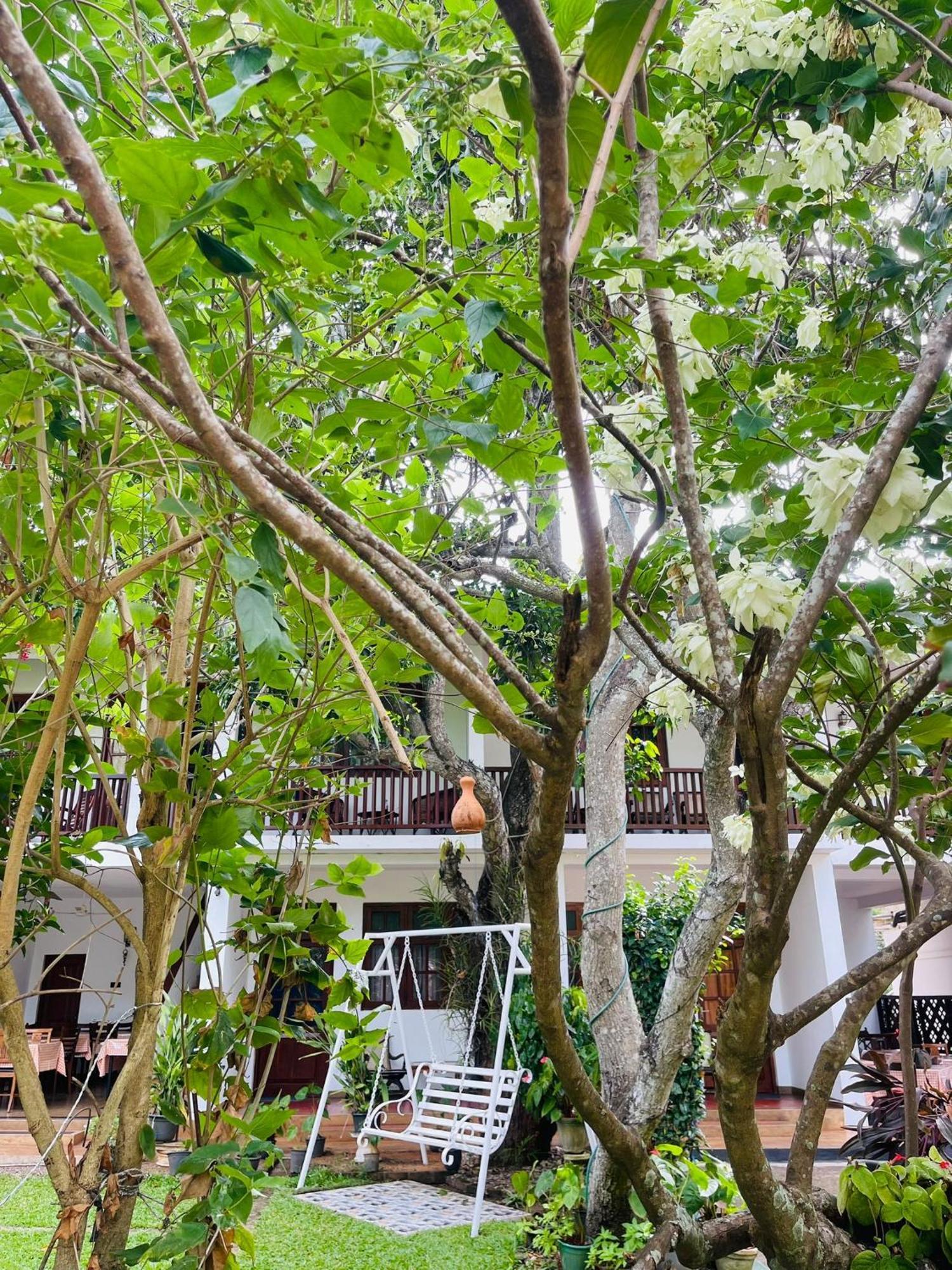 Little Paradise Tourist Guest House And Holiday Home Anuradhapura Exterior foto